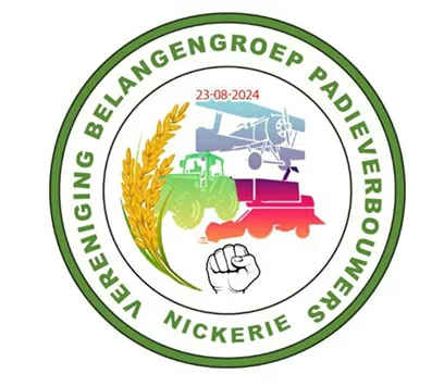 Description or Alt Text