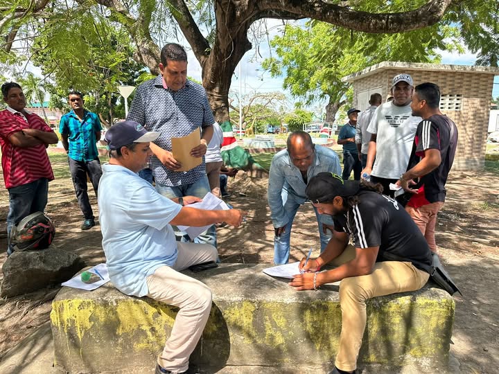 Description or Alt Text