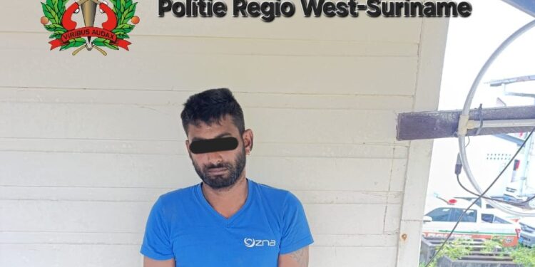 Description or Alt Text