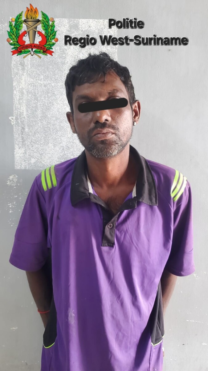 Description or Alt Text