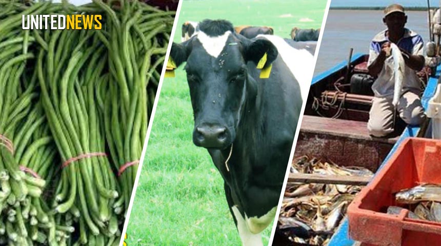 Description or Alt Text