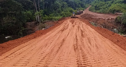 Description or Alt Text