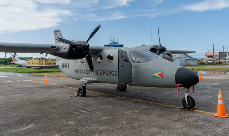 Description or Alt Text