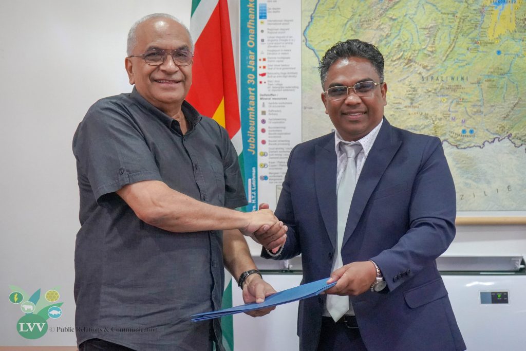 Description or Alt Text