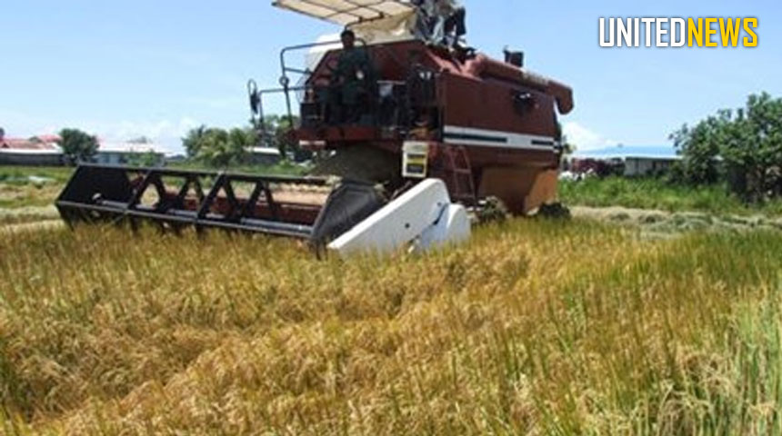 Description or Alt Text