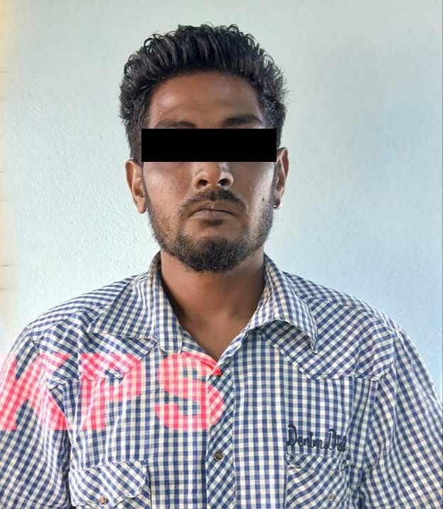 Description or Alt Text