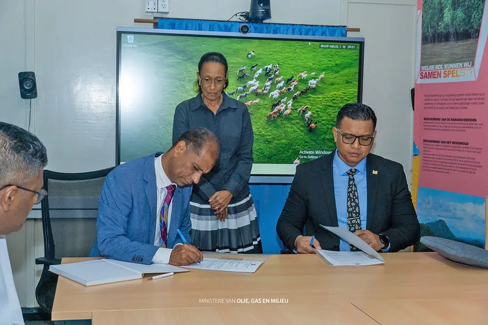 Description or Alt Text