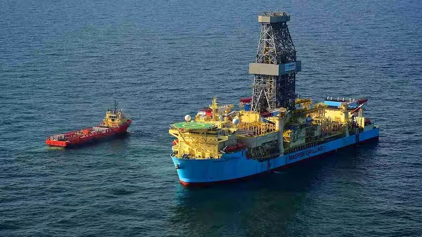 Description or Alt Text