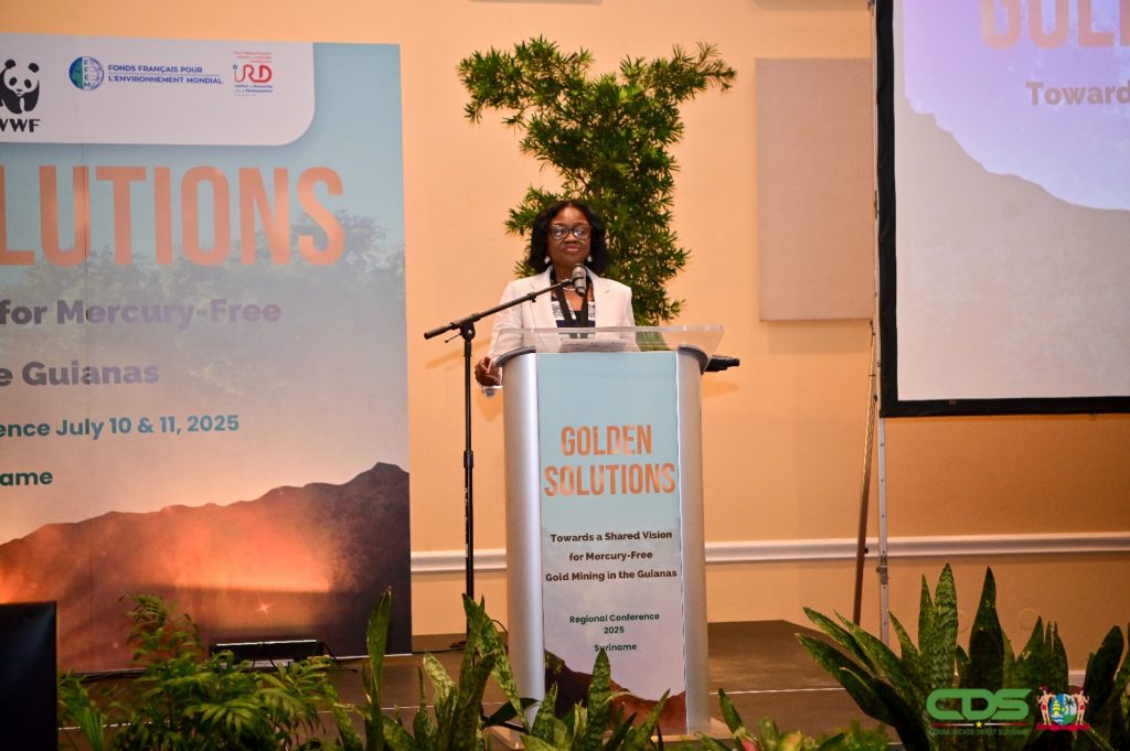 Description or Alt Text