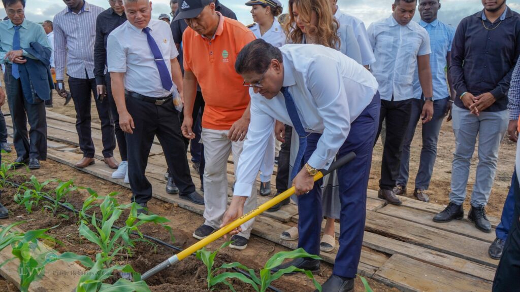 Description or Alt Text