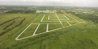 Description or Alt Text