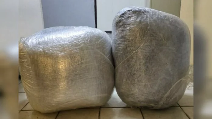 Description or Alt Text