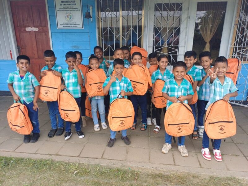 Description or Alt Text