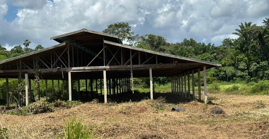 Description or Alt Text