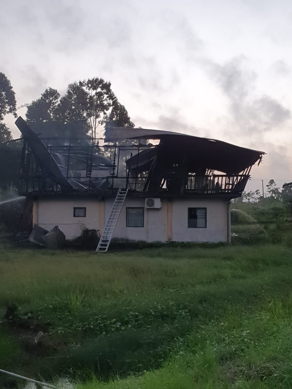 Description or Alt Text