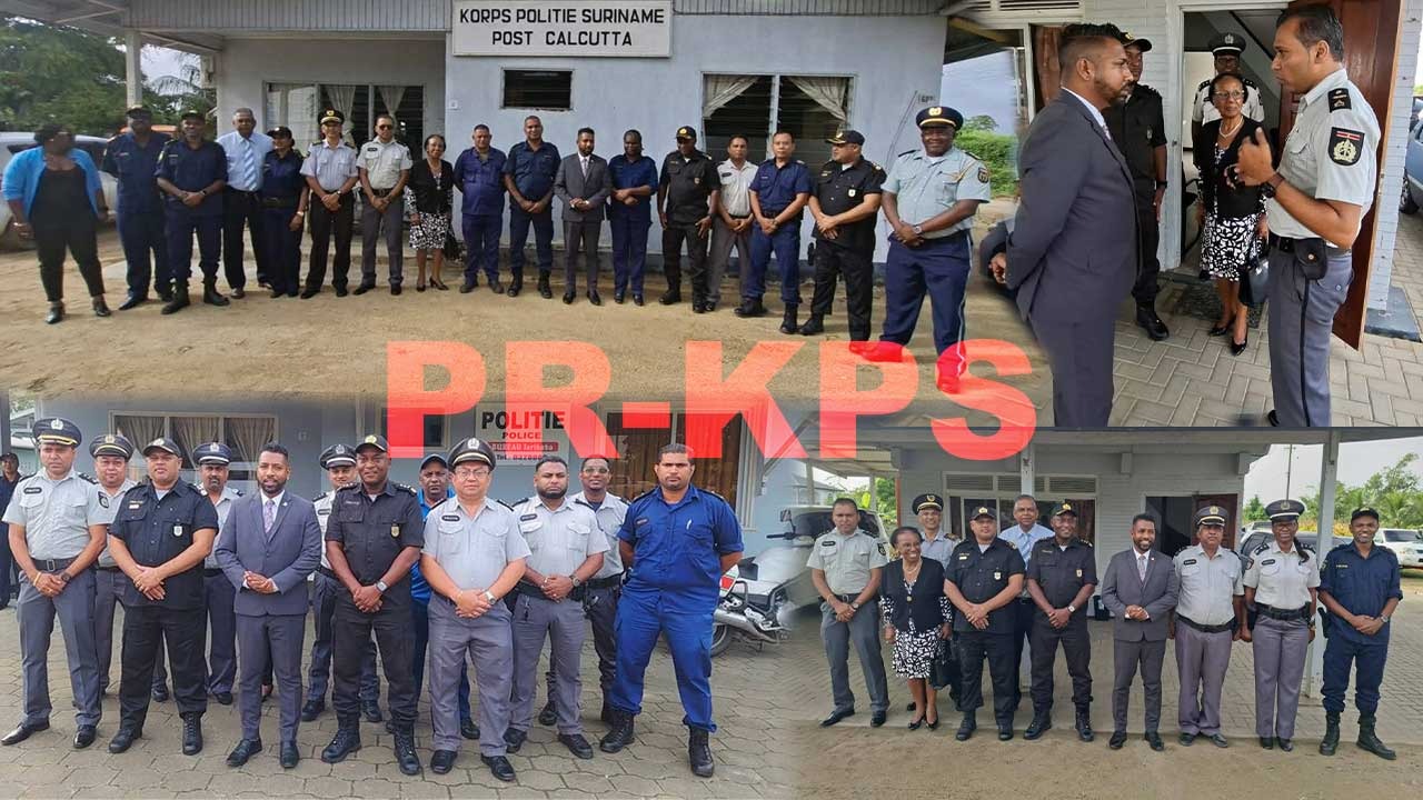 Description or Alt Text