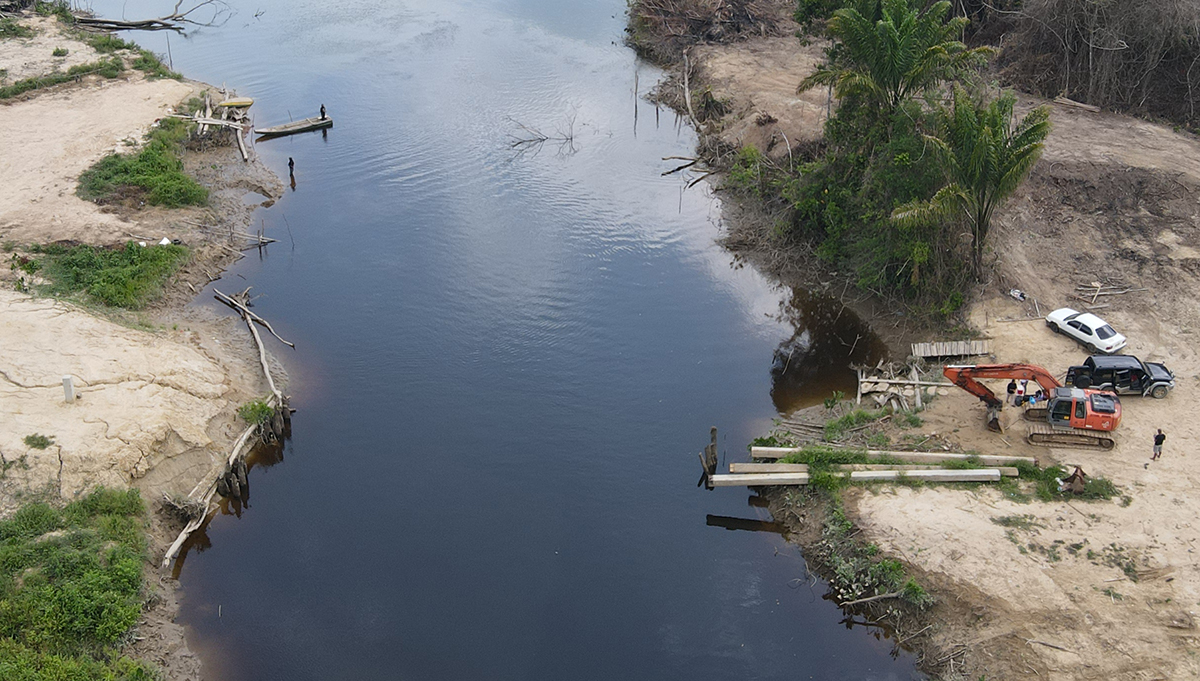 Description or Alt Text