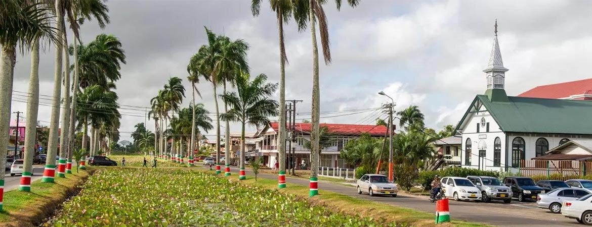 Description or Alt Text