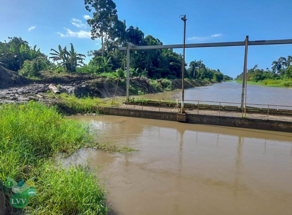 Description or Alt Text