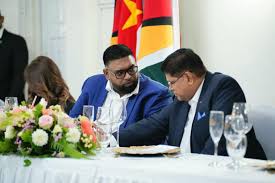 Description or Alt Text