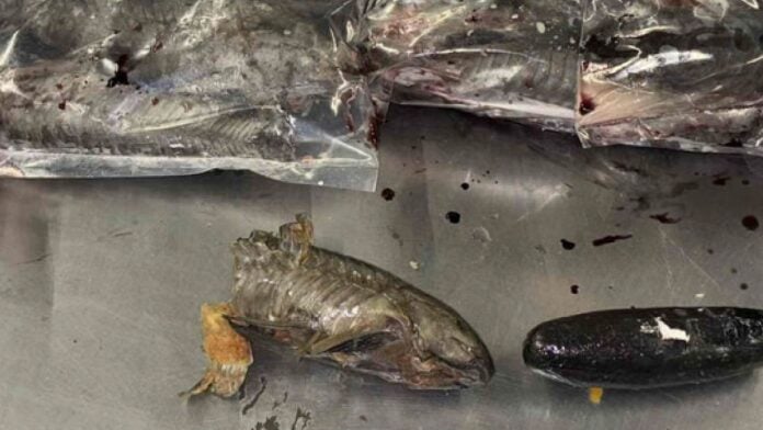 Description or Alt Text