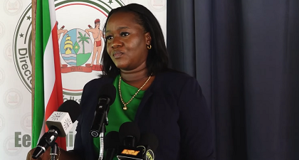 Description or Alt Text