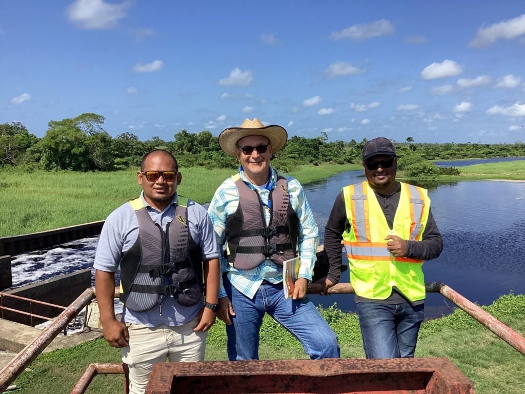 Description or Alt Text