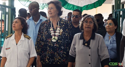 Description or Alt Text