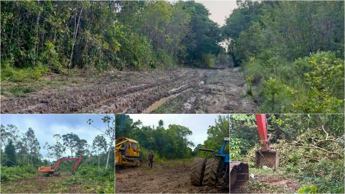 Description or Alt Text