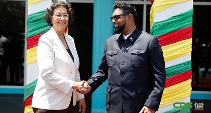 Description or Alt Text