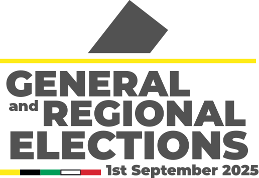 Description or Alt Text