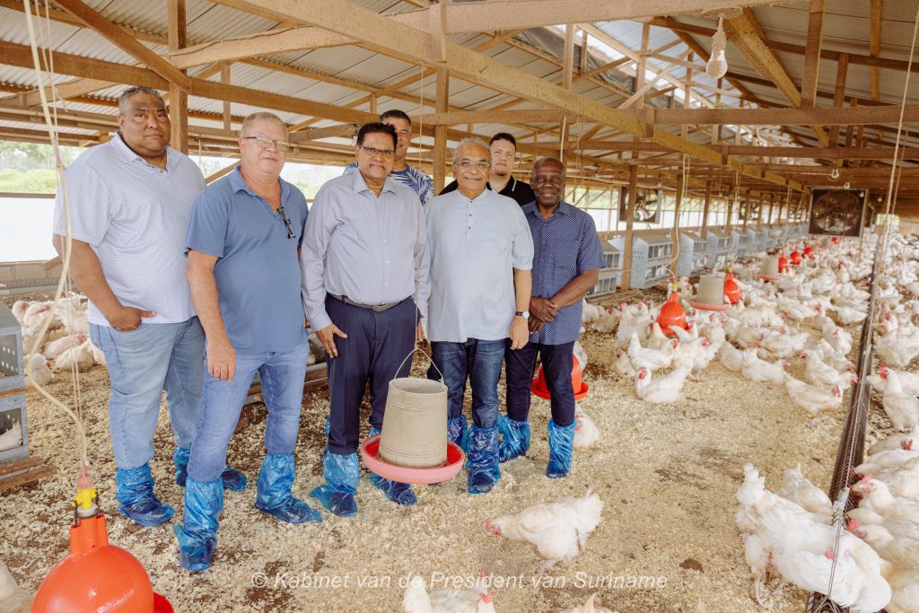 Description or Alt Text