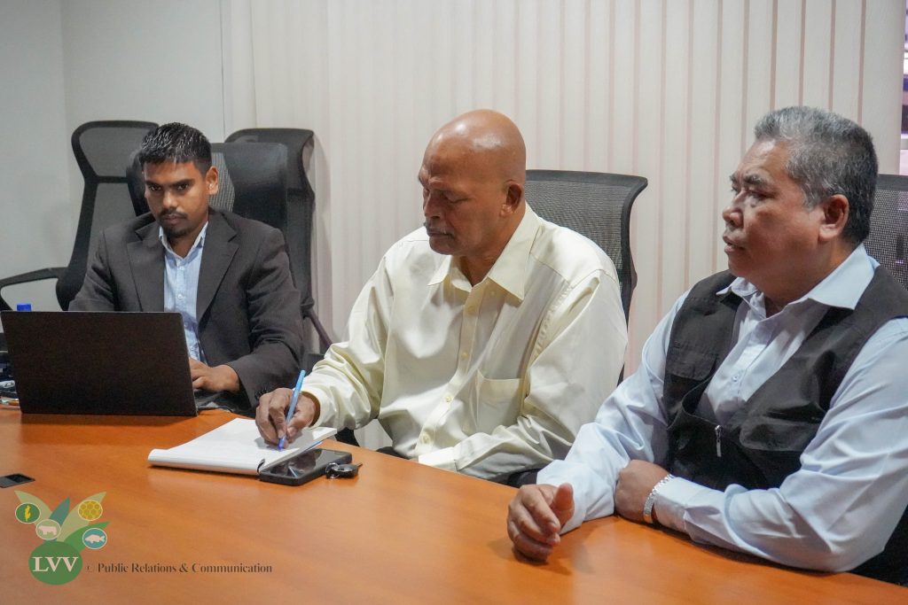 Description or Alt Text