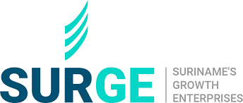 Description or Alt Text