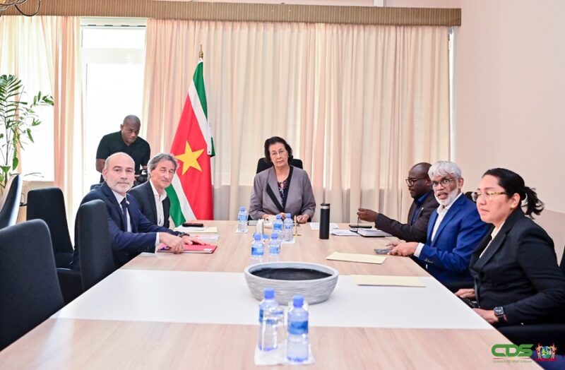 Description or Alt Text