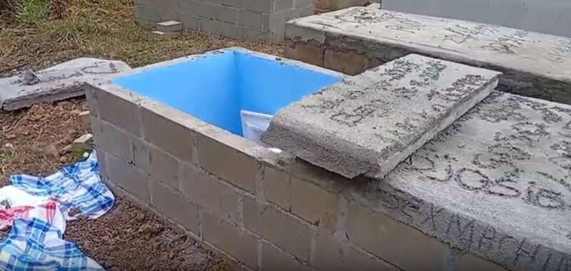 Description or Alt Text