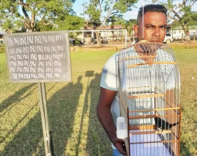 Description or Alt Text