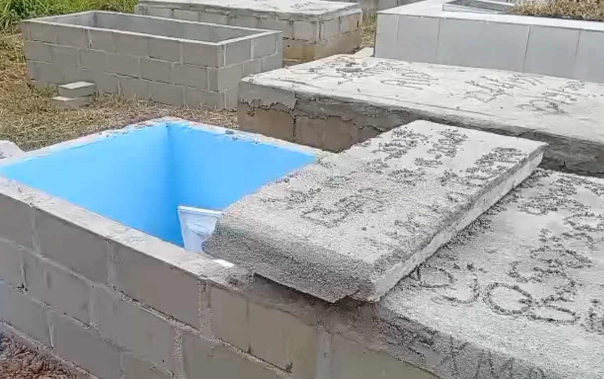 Description or Alt Text