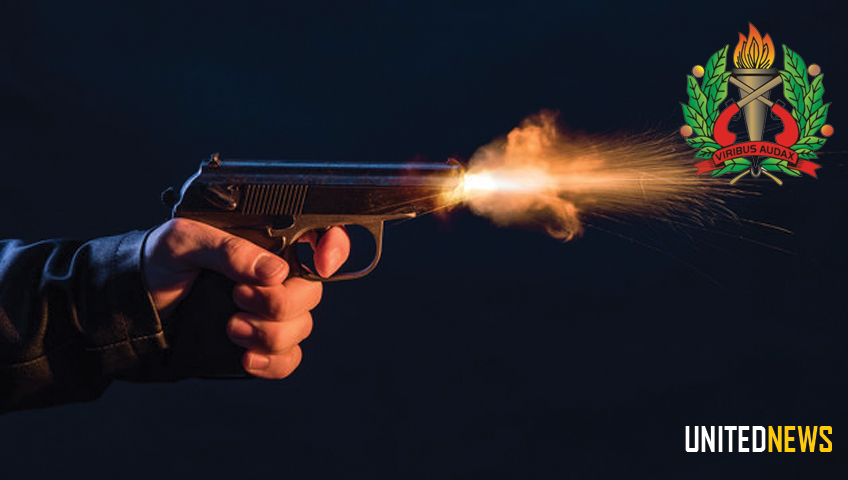 Description or Alt Text