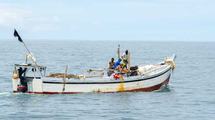 Description or Alt Text