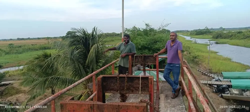 Description or Alt Text