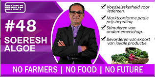 Description or Alt Text