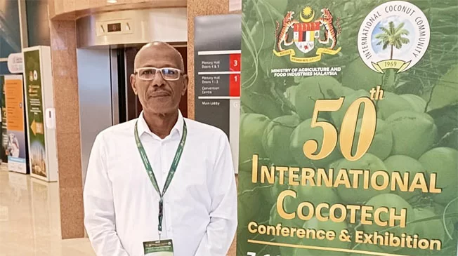 Description or Alt Text