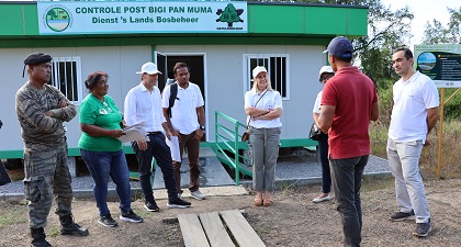 Description or Alt Text