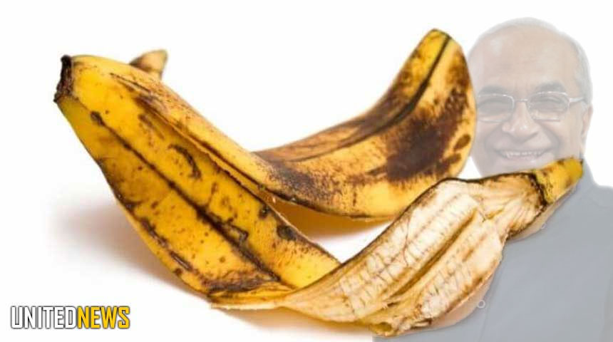 Description or Alt Text