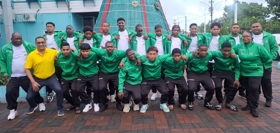 Description or Alt Text