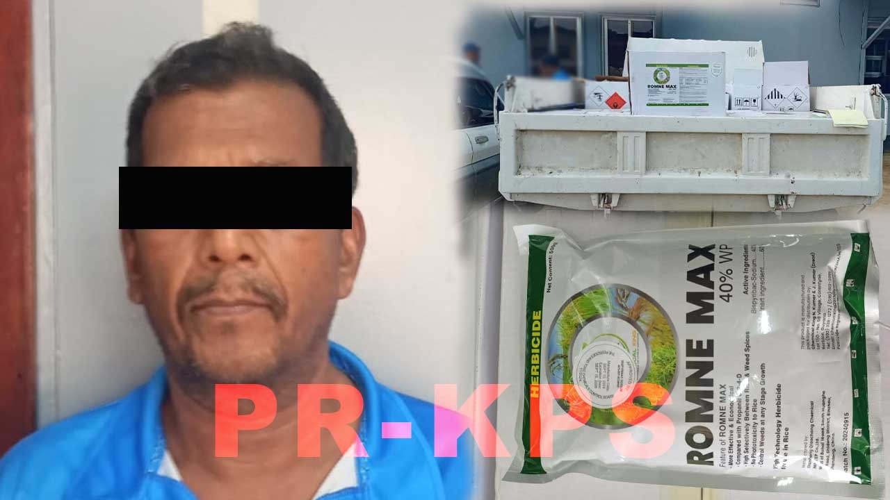 Description or Alt Text