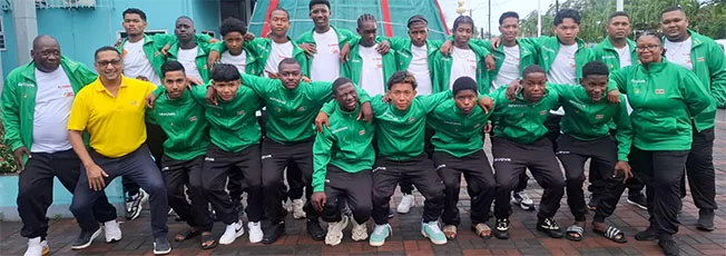 Description or Alt Text