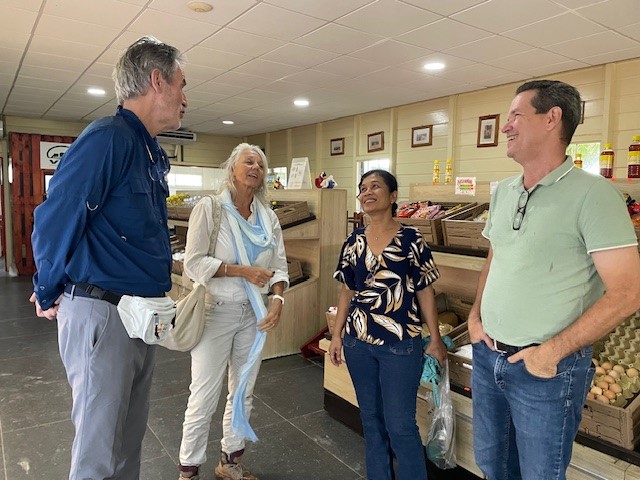 Description or Alt Text