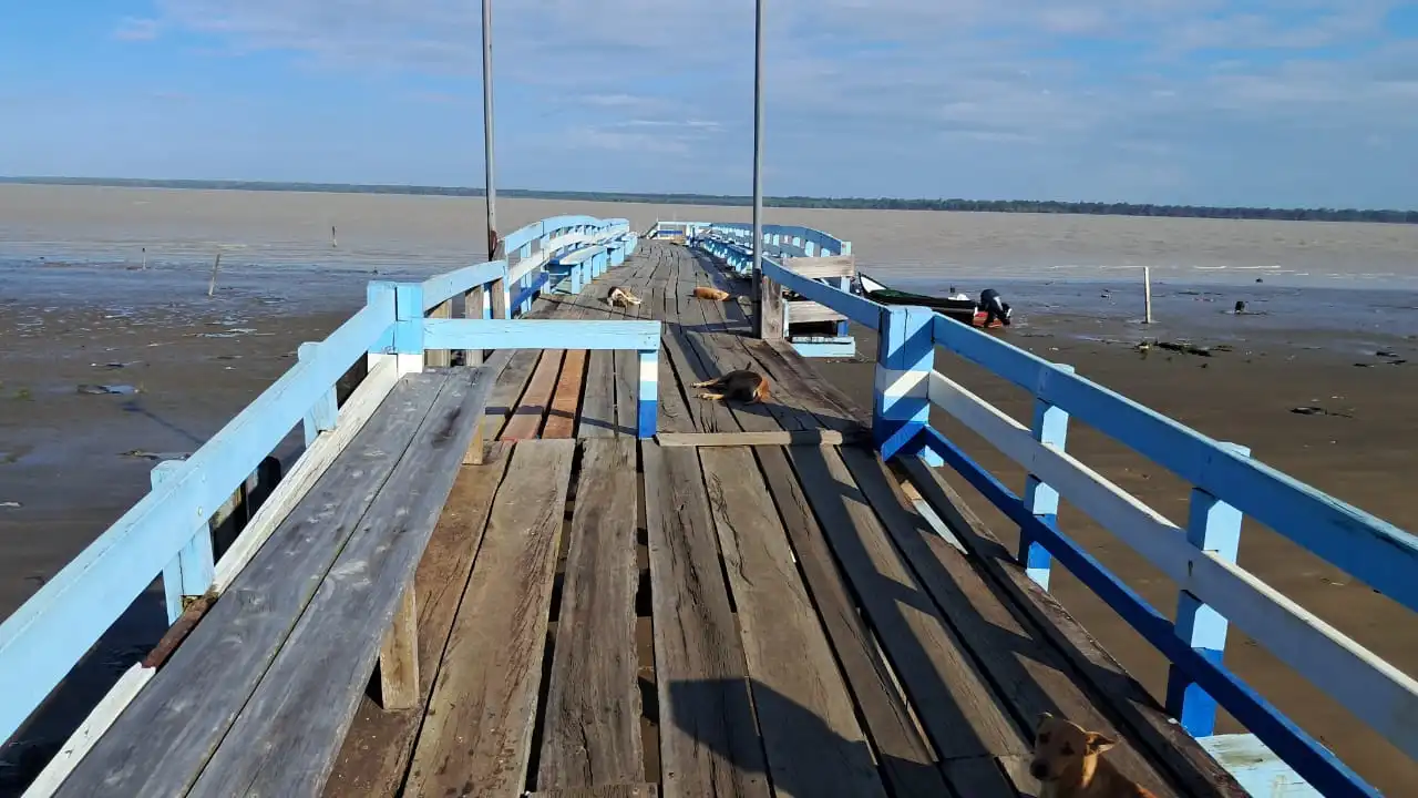 Description or Alt Text